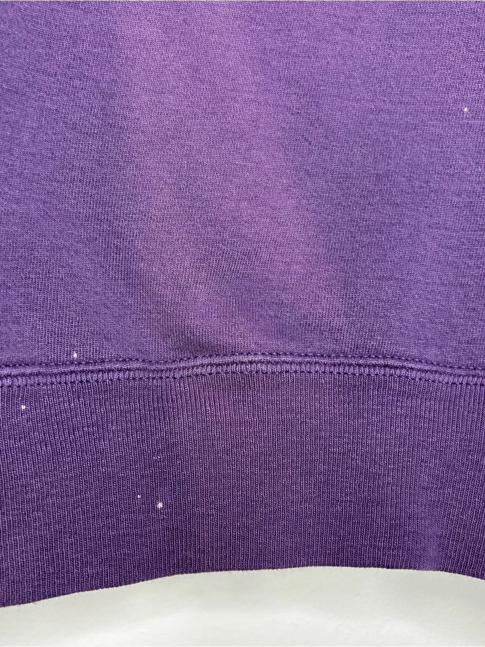 Vintage 90s Champion Sweatshirt Purple Crewneck Size L Unisex